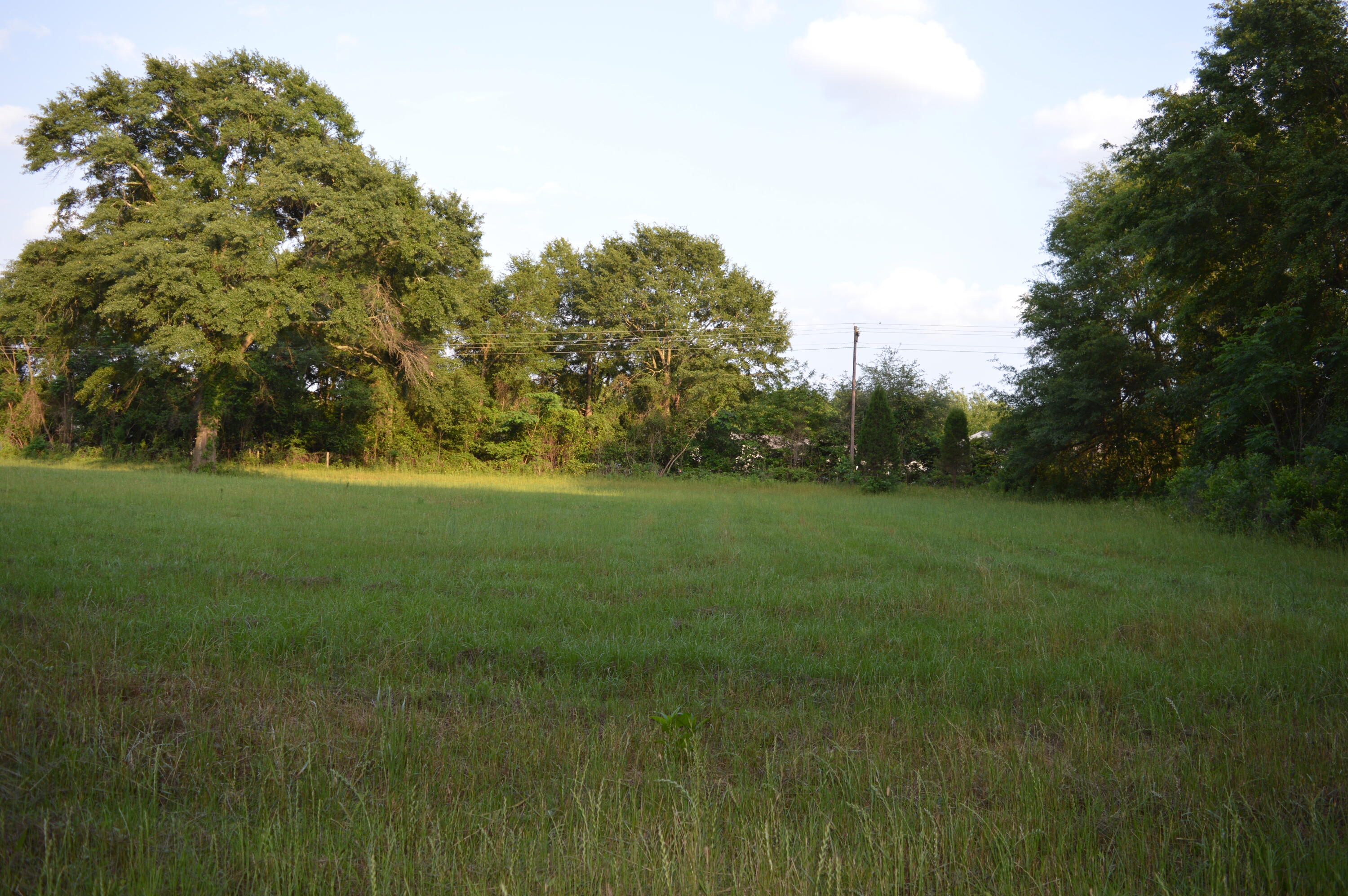 Lot 5 Coward Road Aiken, SC 29803 - Photo 2 of 2 Gallery Image 2