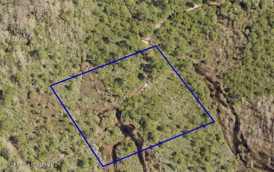 Undisclosed Address Mims, FL 32754 - Photo 3 of 7 a view of entryway