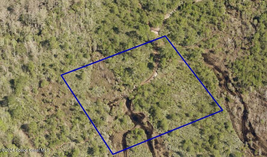 Undisclosed Address Mims, FL 32754 - Photo 7 of 7