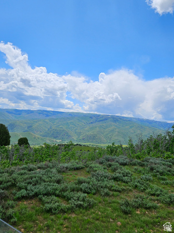 3378 North Oak Cyn Road, Unit 526 Huntsville, UT 84317 - Photo 8 of 24 Mountain view