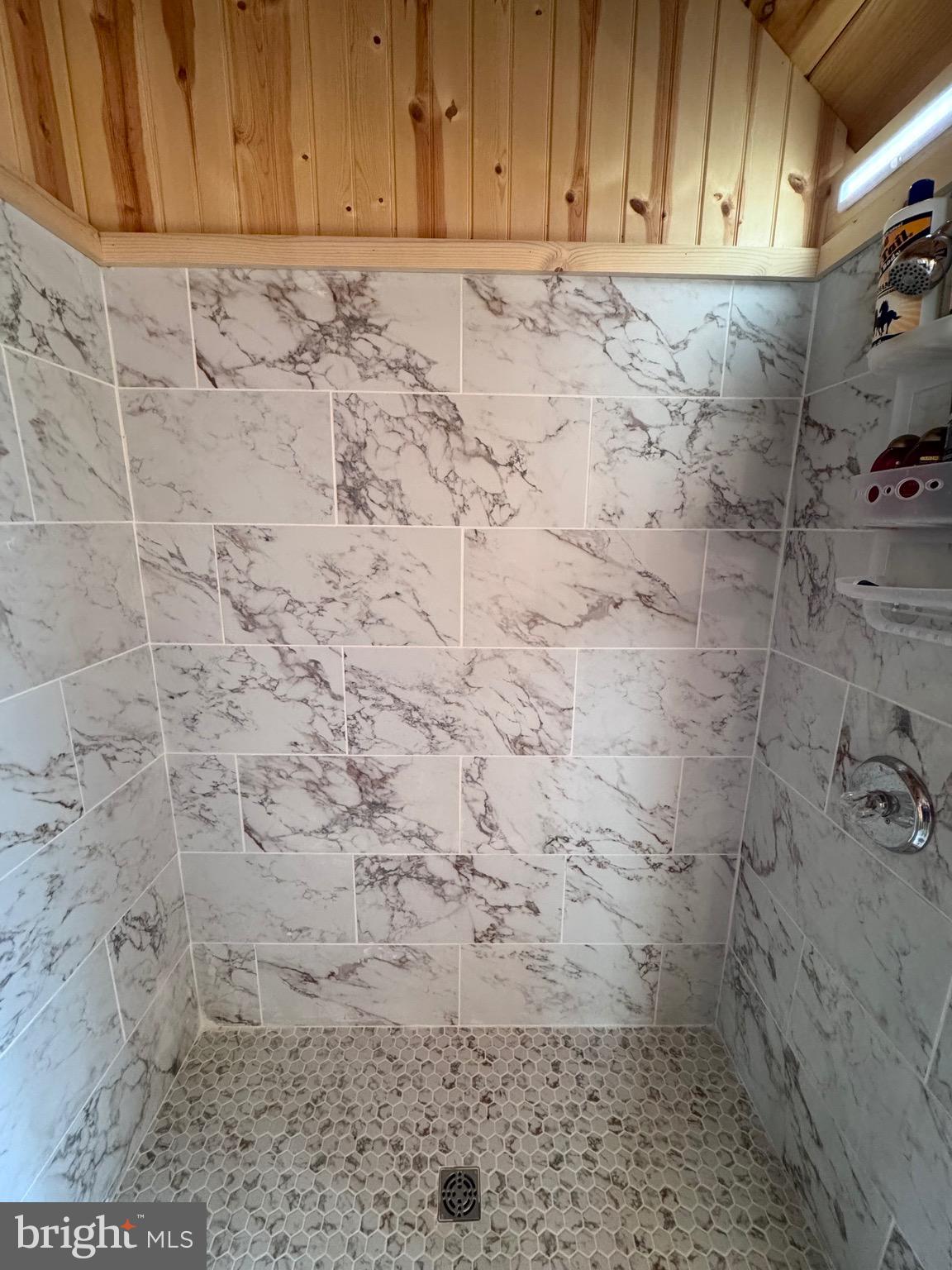 1422 Cave Mountain Road Upper Tract, WV 26866 - Photo 39 of 58