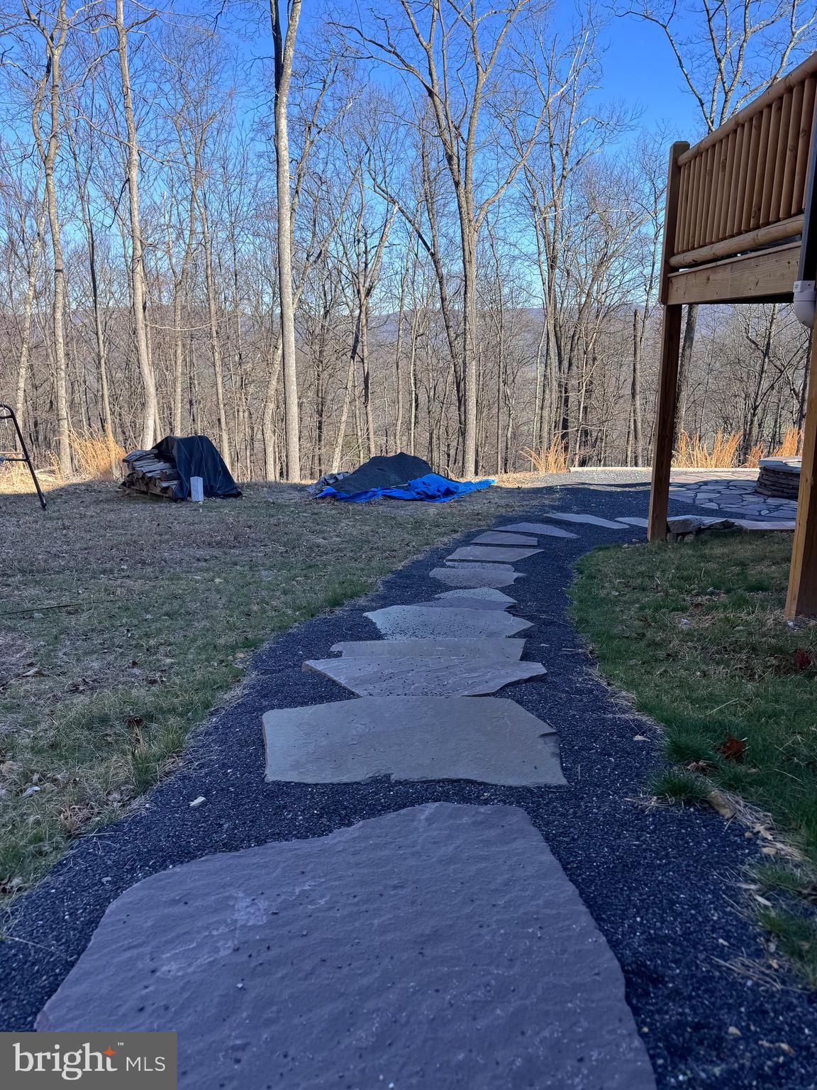 1422 Cave Mountain Road Upper Tract, WV 26866 - Photo 51 of 58