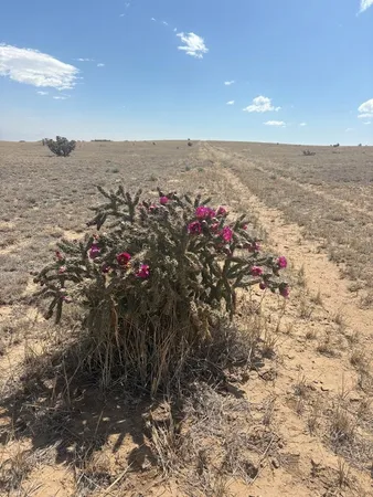 $29,900 | Lot 10 Cuerno Verde Drive, Walsenburg, CO 81089
