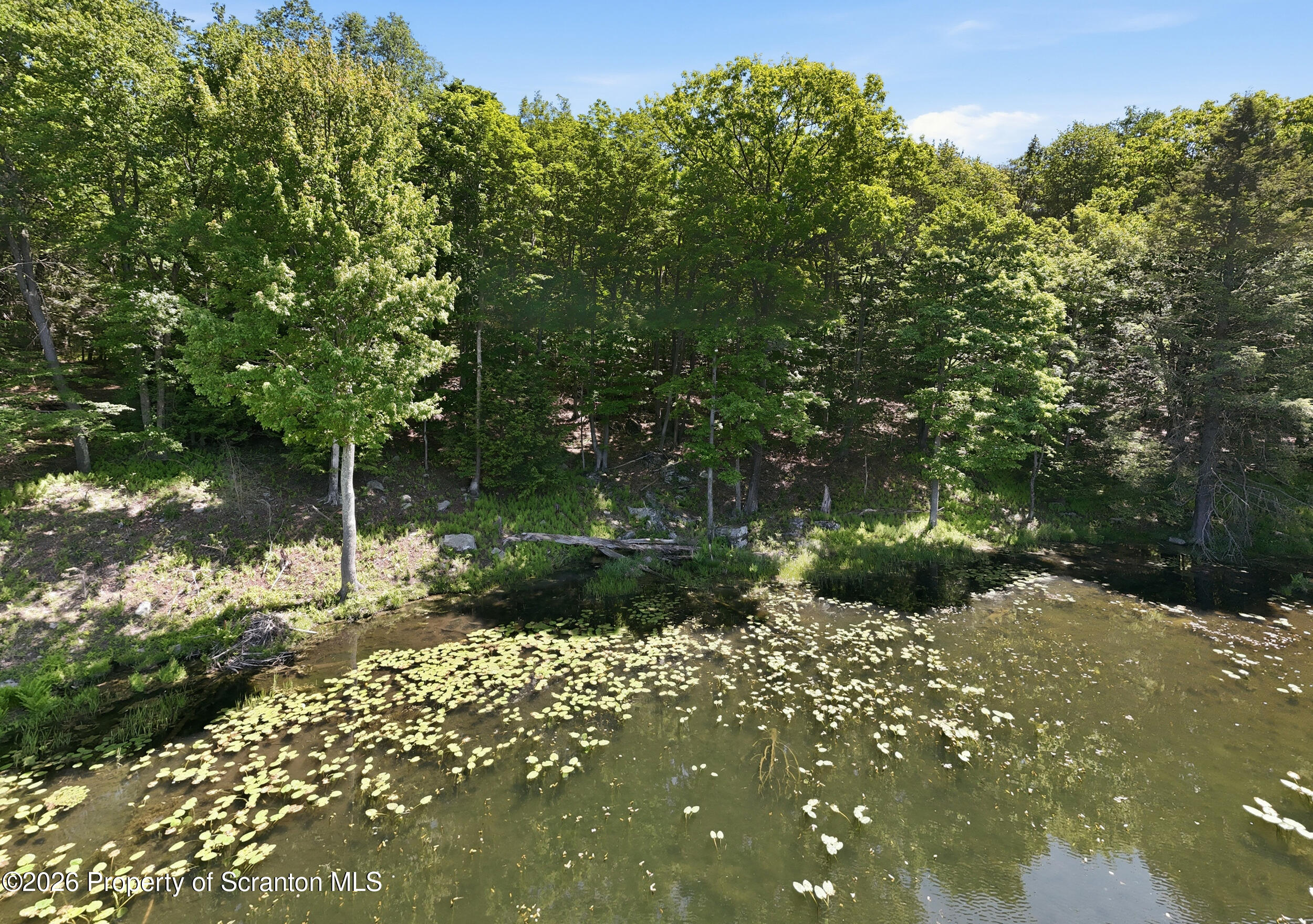 149 Savage Road Waymart, PA 18472 - Photo 17 of 25 149 savage17