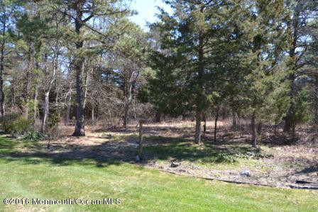 40 Berkshire Road, Unit 65 Whiting, NJ 08759 - Photo 5 of 38 os back 3