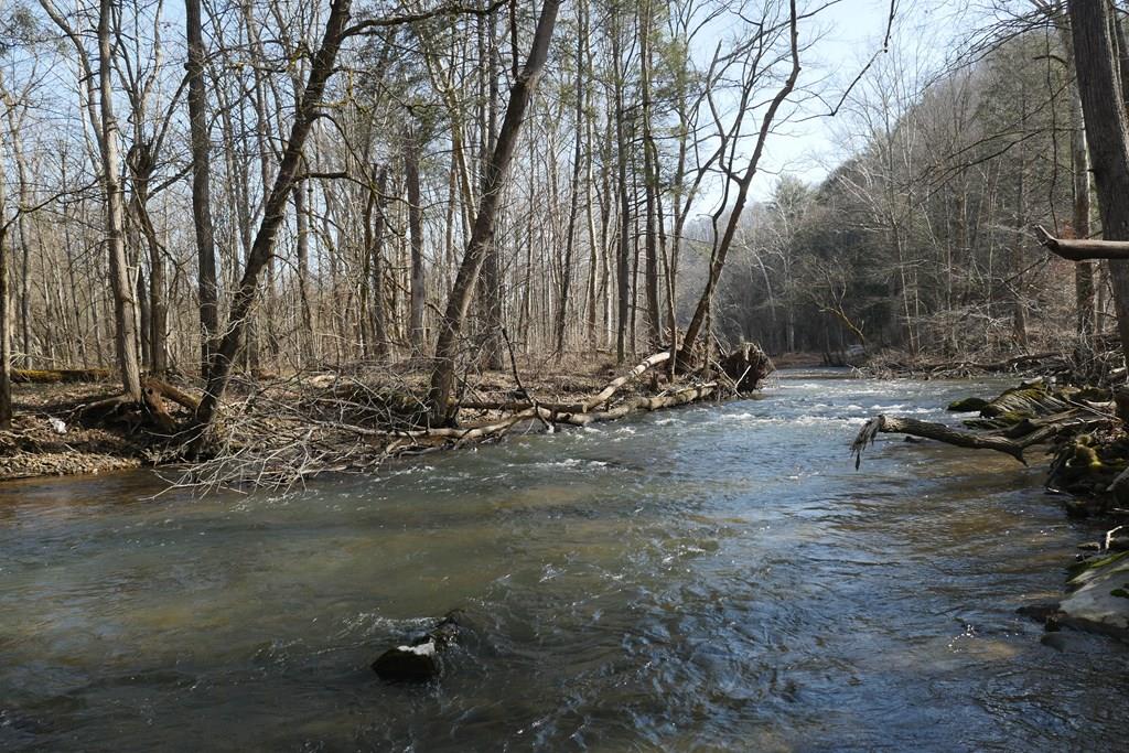 Tbd Rush Creek Road Glade Spring, VA 24340 - Photo 1 of 69 Gallery Image 1