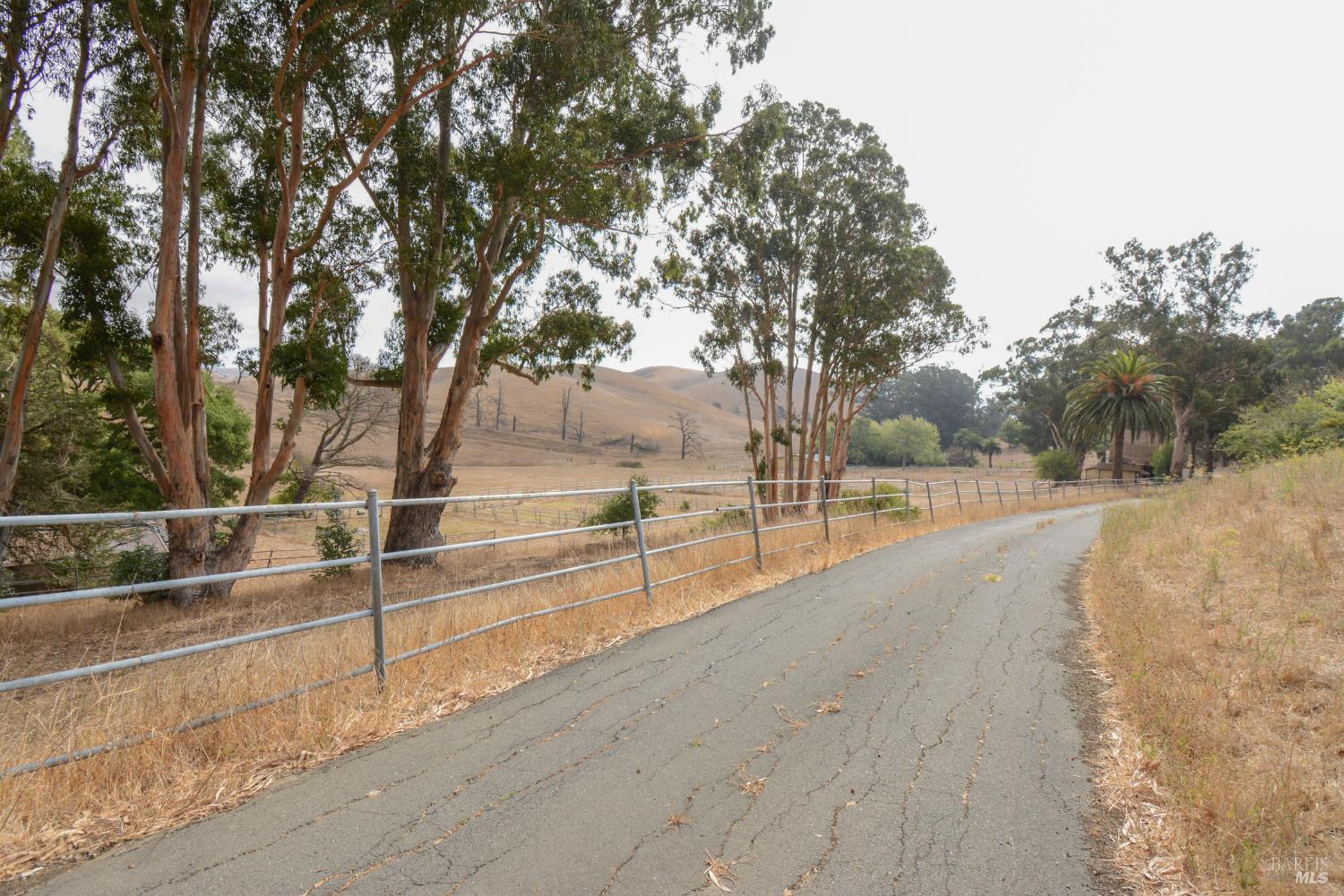 1 St Johns Mine Road Vallejo, CA 94591 - Photo 12 of 40 a view of outdoor space with trees
