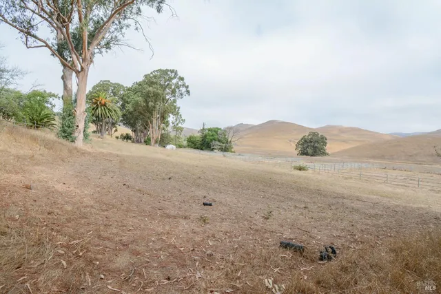 a view of a house with backyard and chairs