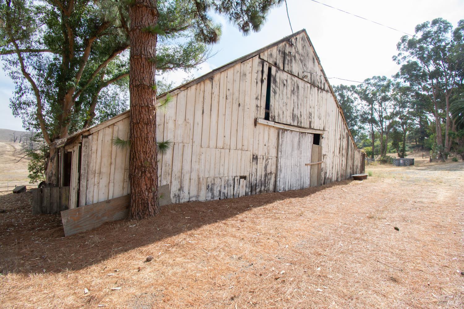 1 St Johns Mine Road Vallejo, CA 94591 - Photo 23 of 40 a view of backyard with large trees