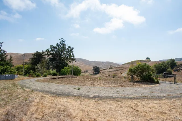 a view of dirt yard with a tree