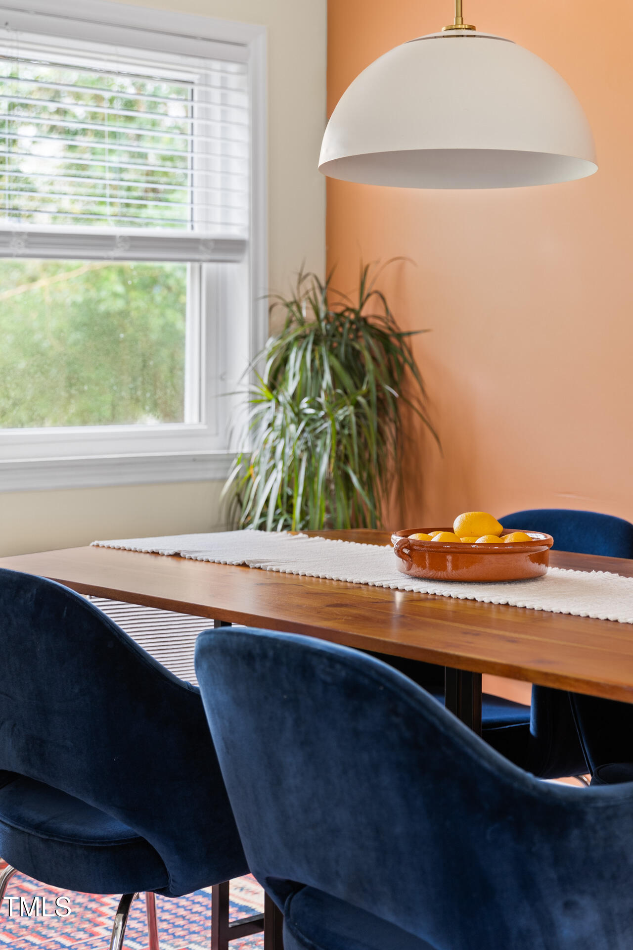 1234 Berkeley Street Durham, NC 27705 - Photo 24 of 46 a view of a window and outdoor space