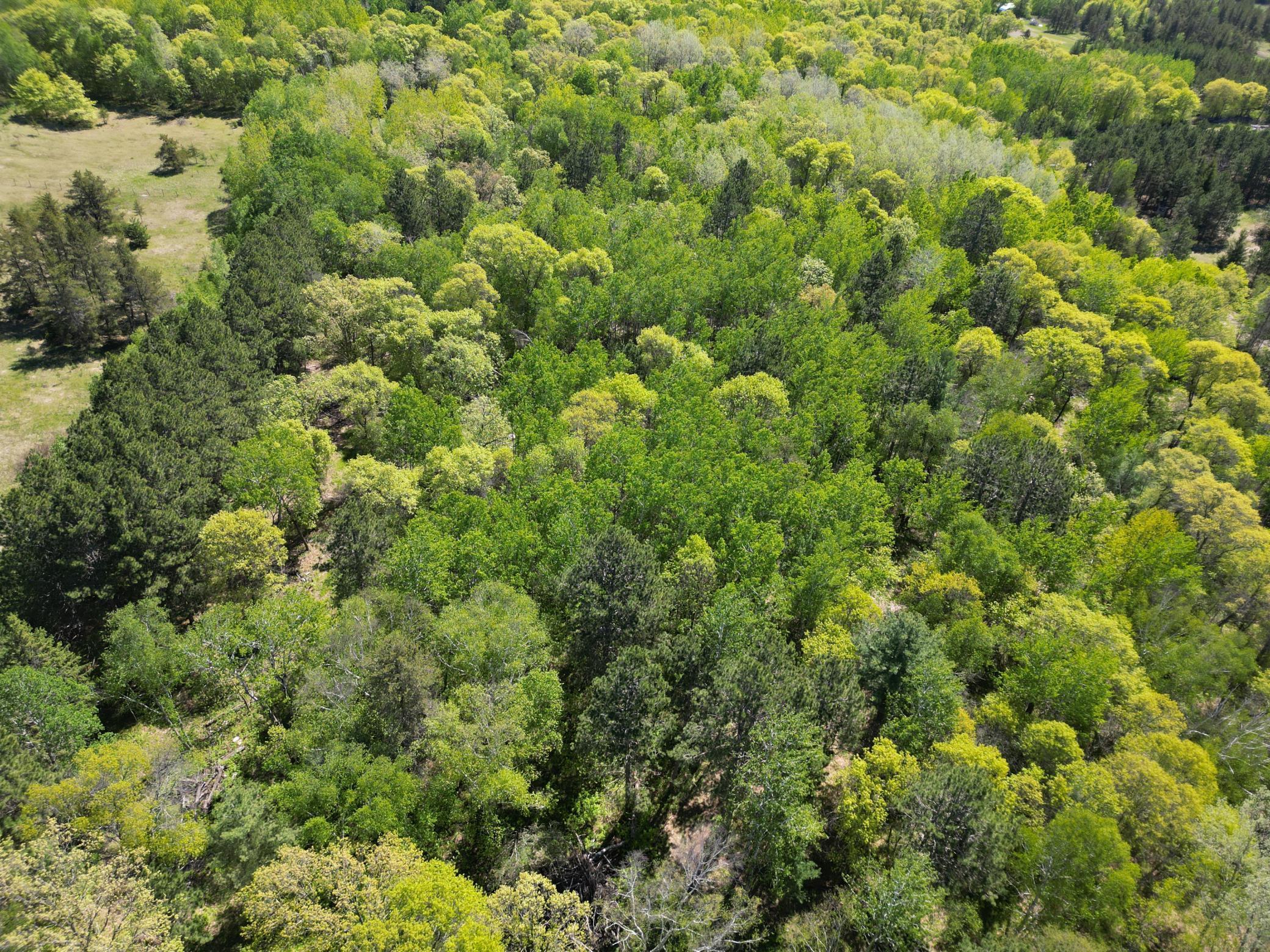 2 County 2 Nevis, MN 56467 - Photo 6 of 11