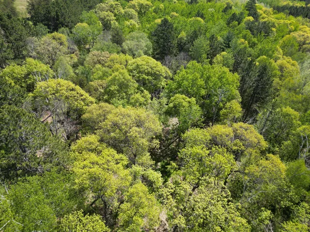 $129,900 | 2 County 2, Nevis, MN 56467