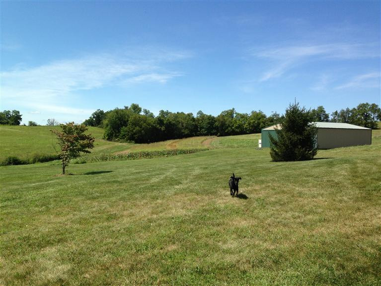 1563 Colville Road Paris, KY 40361 - Photo 4 of 37 Photo 4