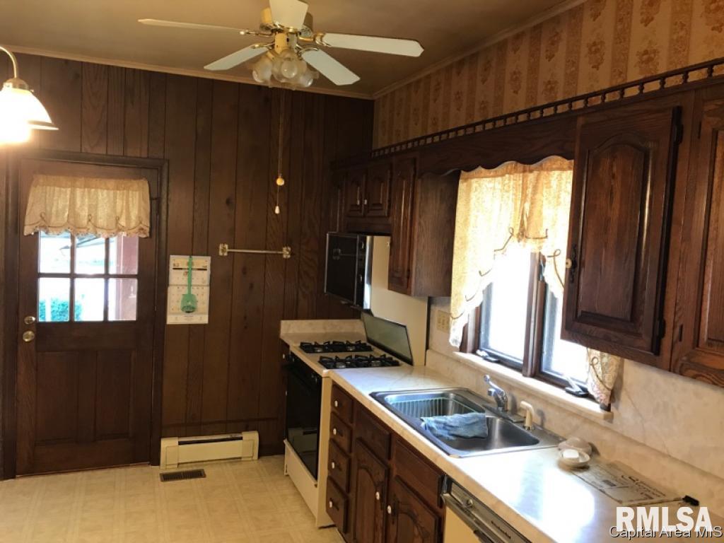 127 West Briggs Street Roodhouse, IL 62082 - Photo 4 of 14 Gallery Image 4