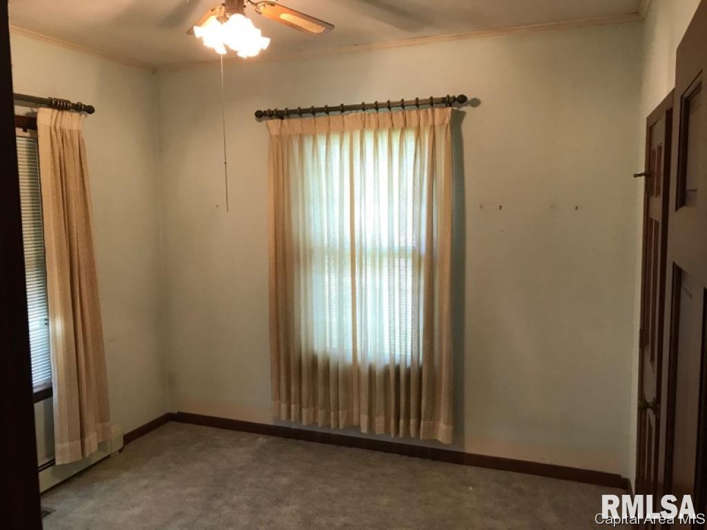 127 West Briggs Street Roodhouse, IL 62082 - Photo 6 of 14 Gallery Image 6