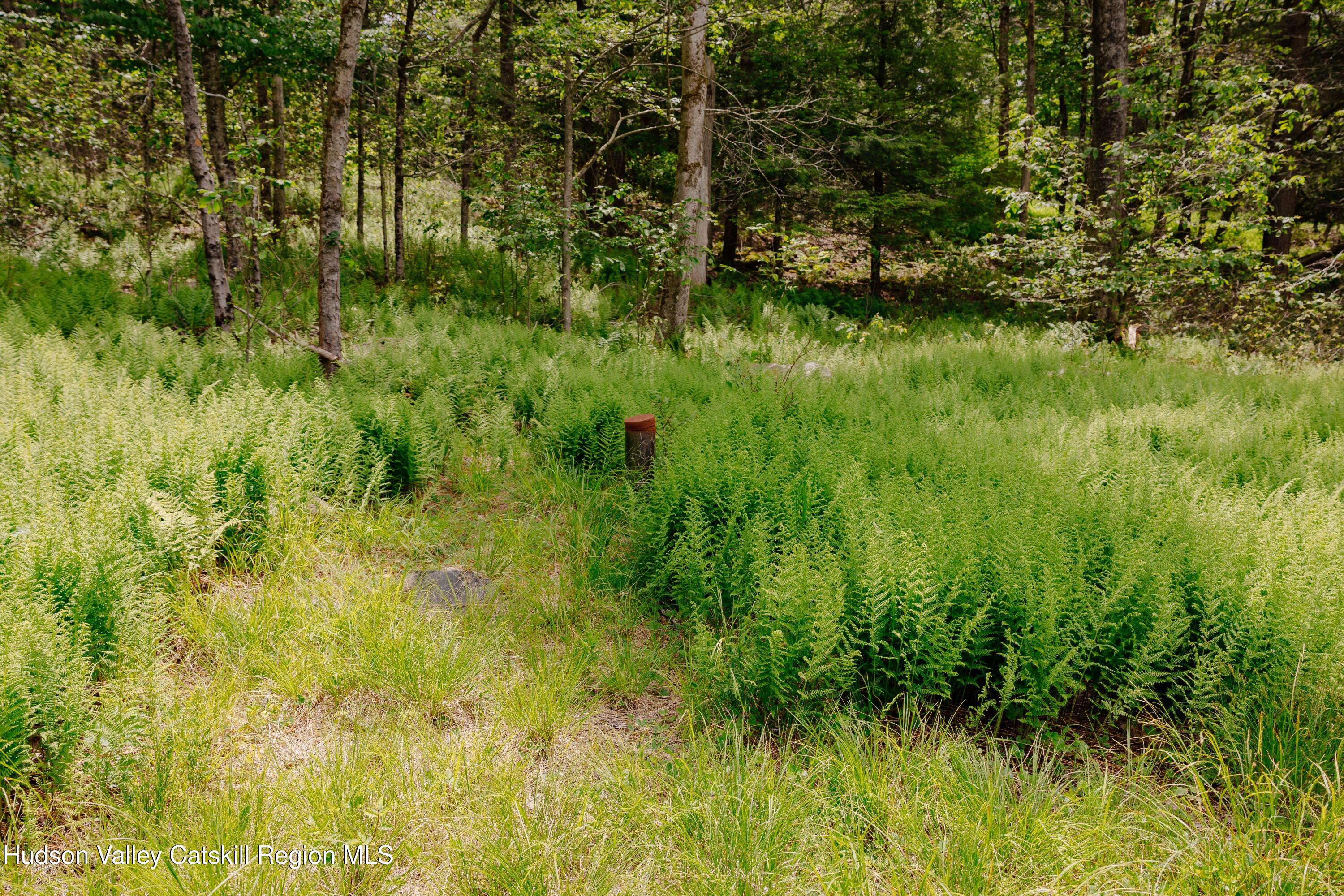 Tbd Church Lake Road Livingston Manor, NY 12758 - Photo 5 of 33 shandelee-woods-thatupstateagent-1-5