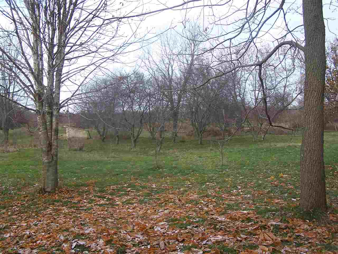 541 Border Road Alburgh, VT 05440 - Photo 22 of 26 Gallery Image 22