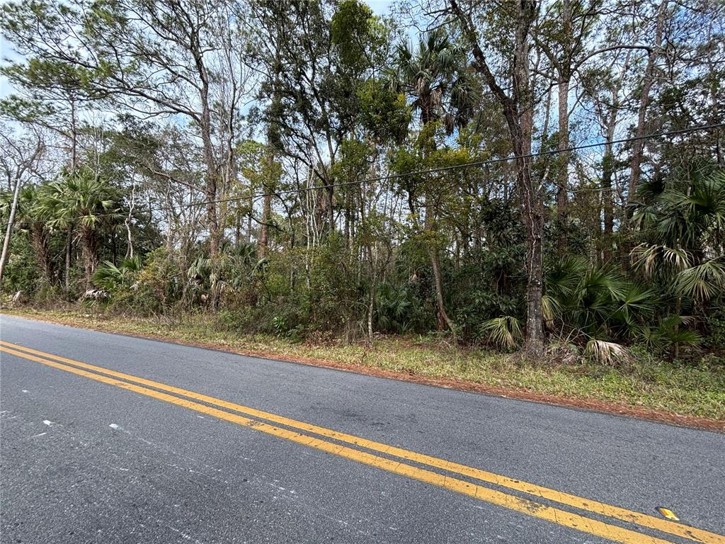 3315 South Michigan Boulevard Homosassa, FL 34448 - Photo 2 of 8