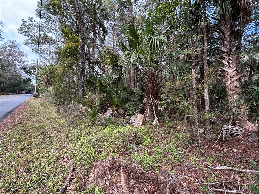 3315 South Michigan Boulevard Homosassa, FL 34448 - Photo 5 of 8