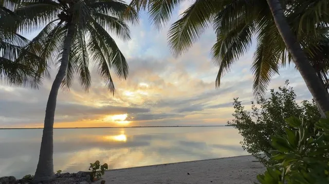 a view of an ocean and beach