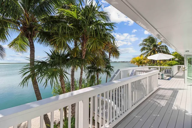 a view of balcony with a palm tree