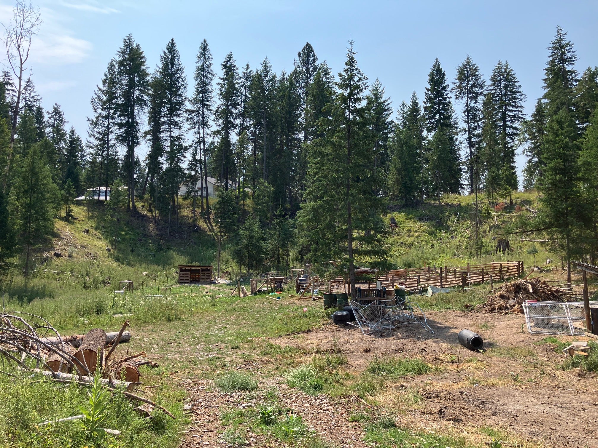 416 Terrace View Road Libby, MT 59923 - Photo 29 of 55 Gallery Image 29