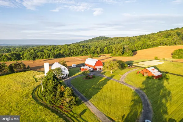 a front view of a house with a yard and large trees