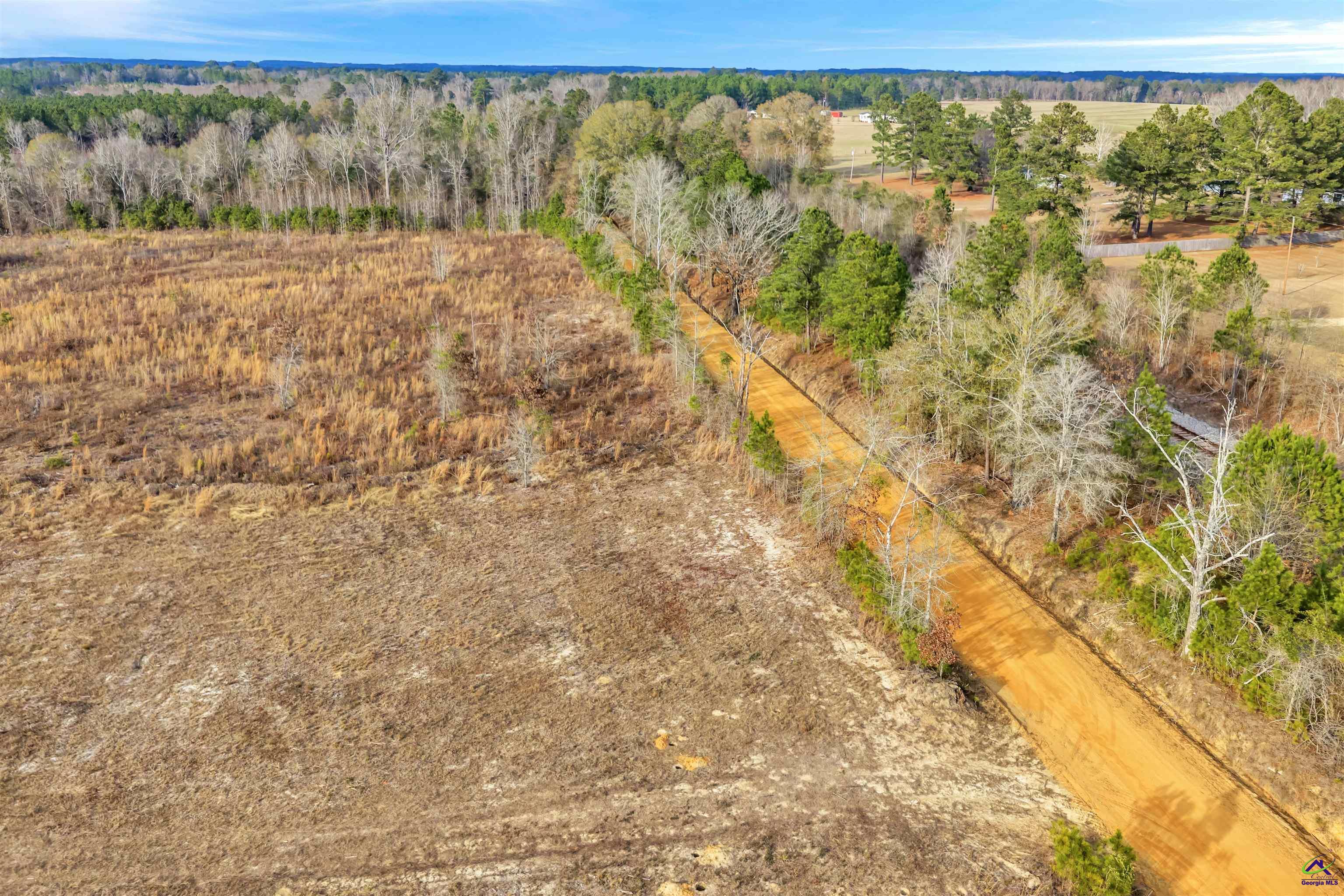 0 Old Empire Road Cochran, GA 31014 - Photo 7 of 13