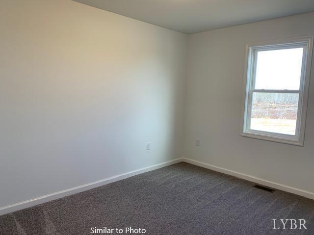 707 Ruckers Road Concord, VA 24538 - Photo 11 of 17 Gallery Image 11