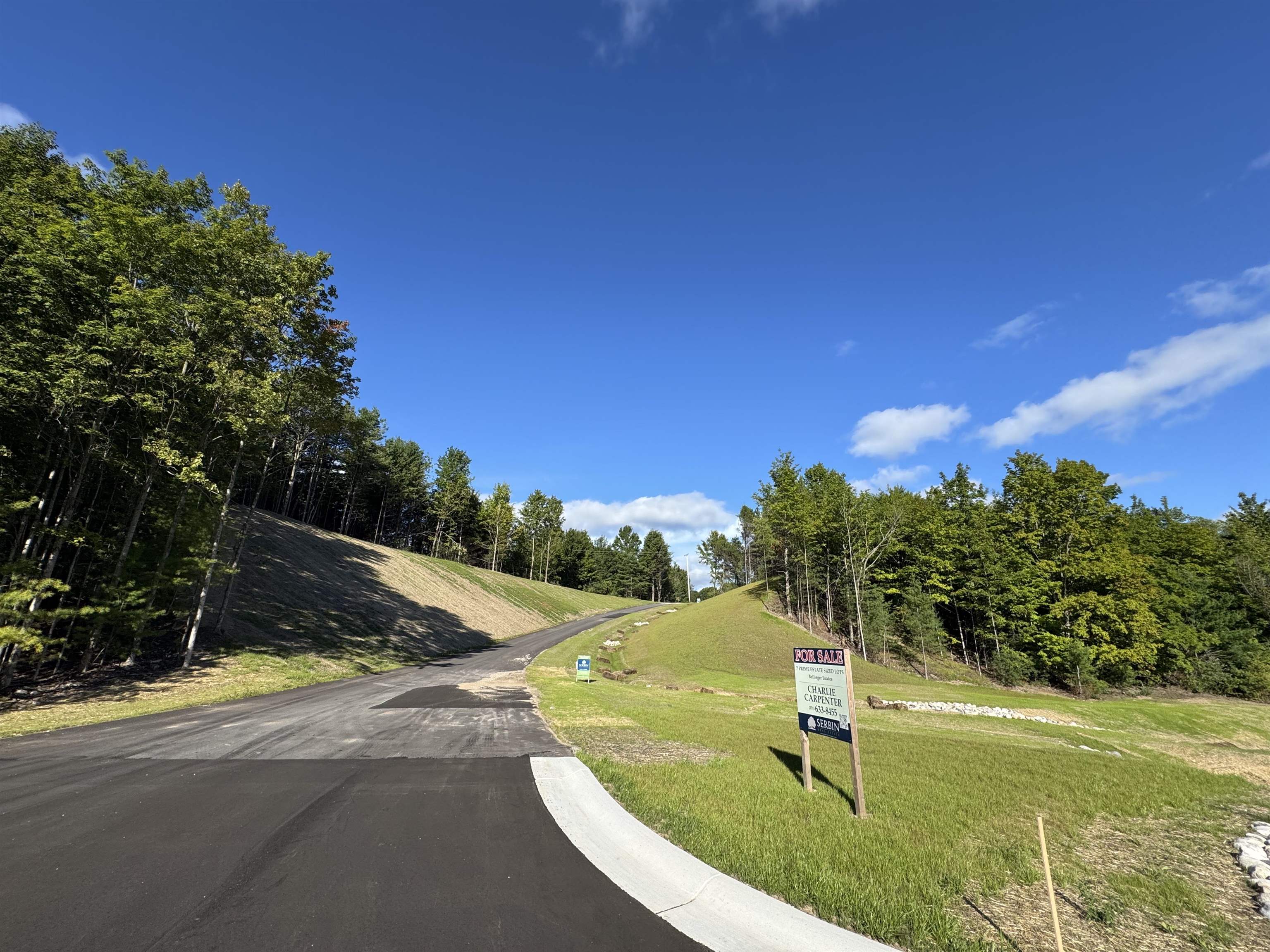 Lot #7 East Bellinger Road, Unit E HIGHLAND WOODS BELLIN Cedar, MI 49621 - Photo 15 of 20