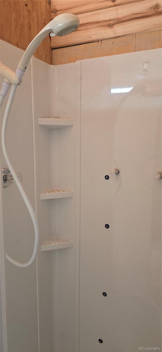 101 MacArthur Road Fort Garland, CO 81133 - Photo 11 of 21 a bathroom with a shower
