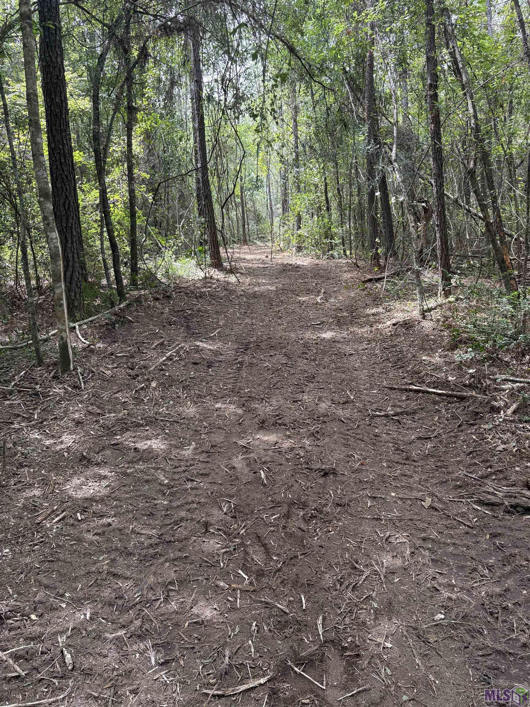 83234 Isabel Swamp Road Bush, LA 70431 - Photo 11 of 21