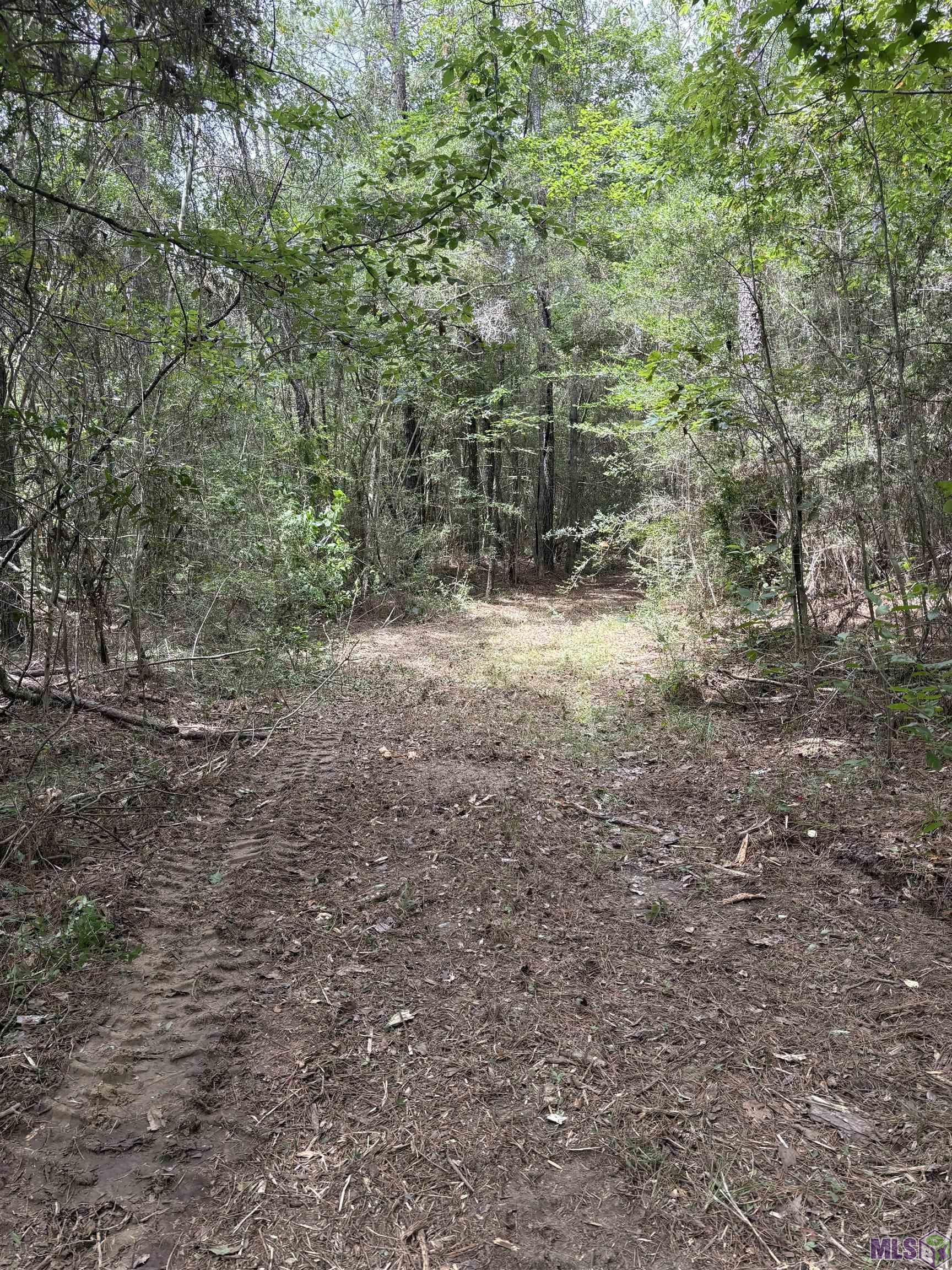 83234 Isabel Swamp Road Bush, LA 70431 - Photo 12 of 21