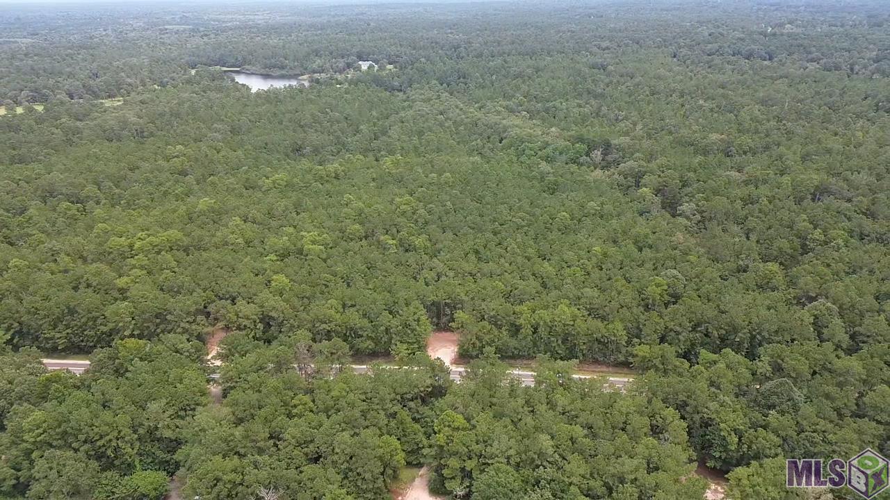 83234 Isabel Swamp Road Bush, LA 70431 - Photo 3 of 21