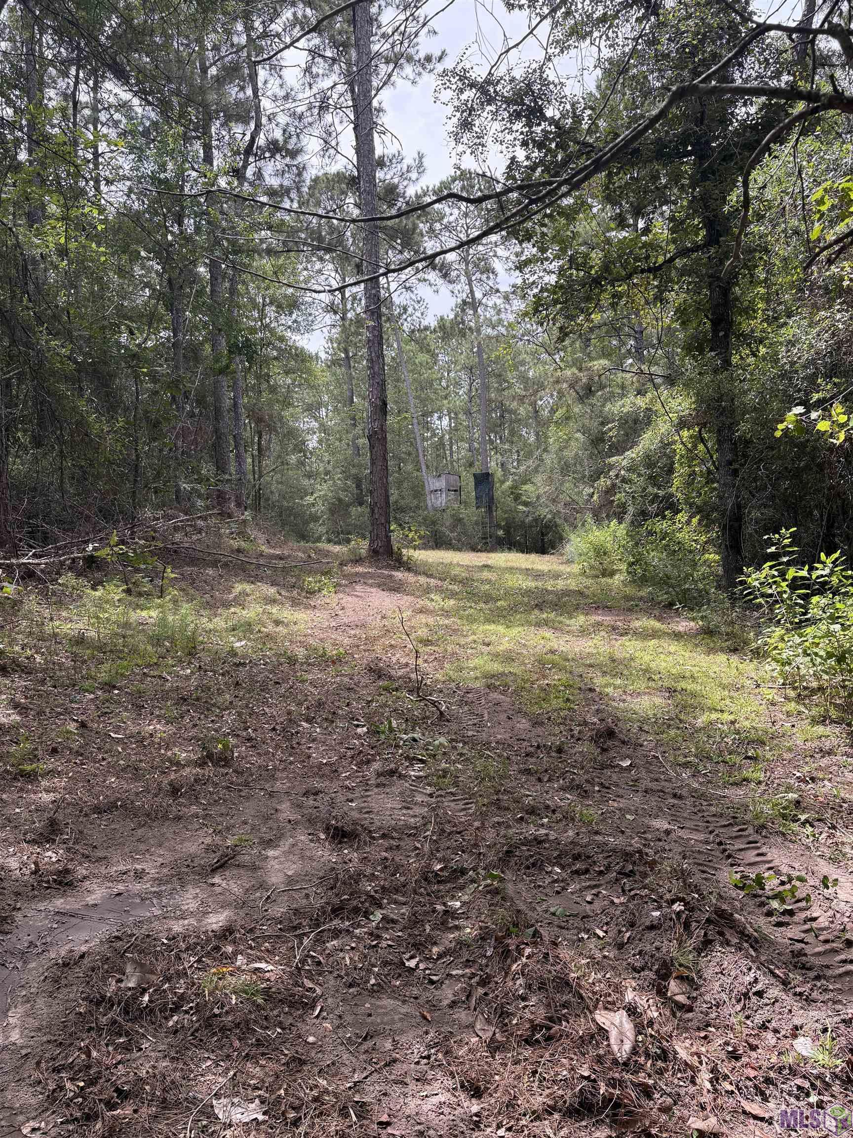 83234 Isabel Swamp Road Bush, LA 70431 - Photo 6 of 21