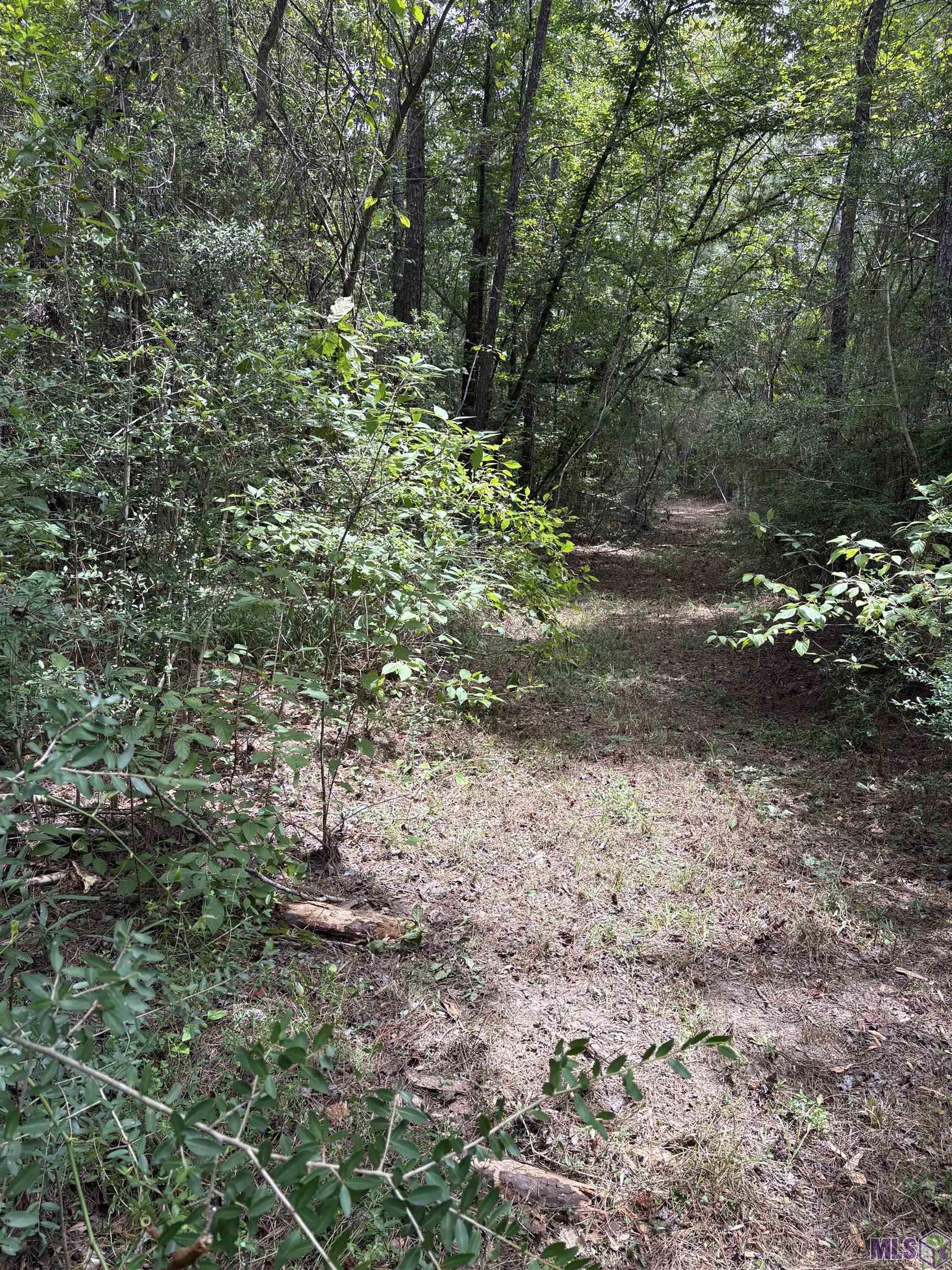 83234 Isabel Swamp Road Bush, LA 70431 - Photo 7 of 21