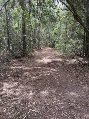 $141,803 | 83234 Isabel Swamp Road, Bush, LA 70431