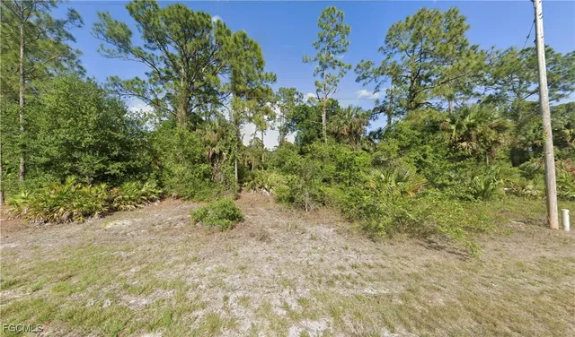 $19,900 | 165 Birch Avenue, Lehigh Acres, FL 33974