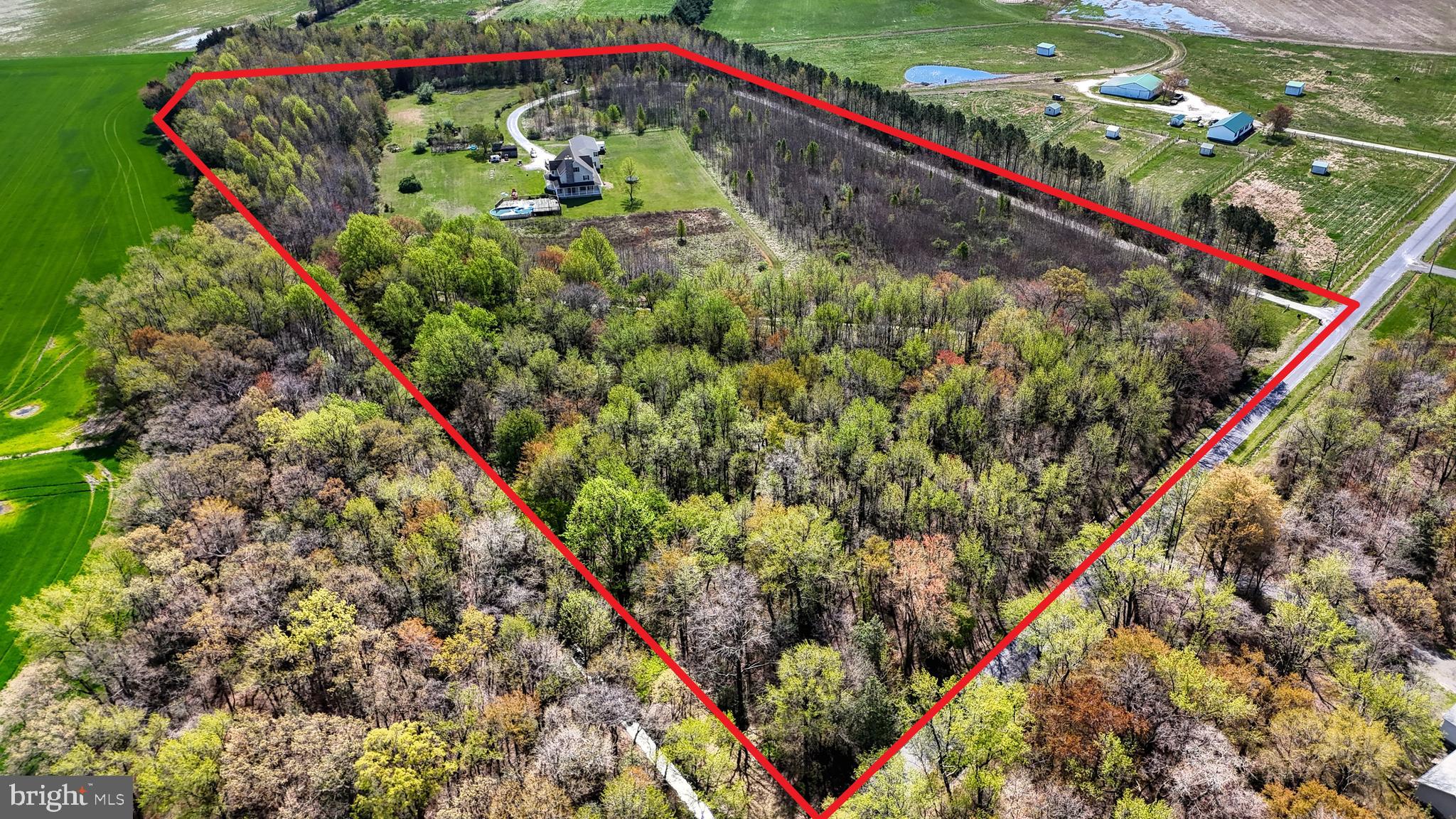 460 John Hurd Road Harrington, DE 19952 - Photo 3 of 94 Great plot