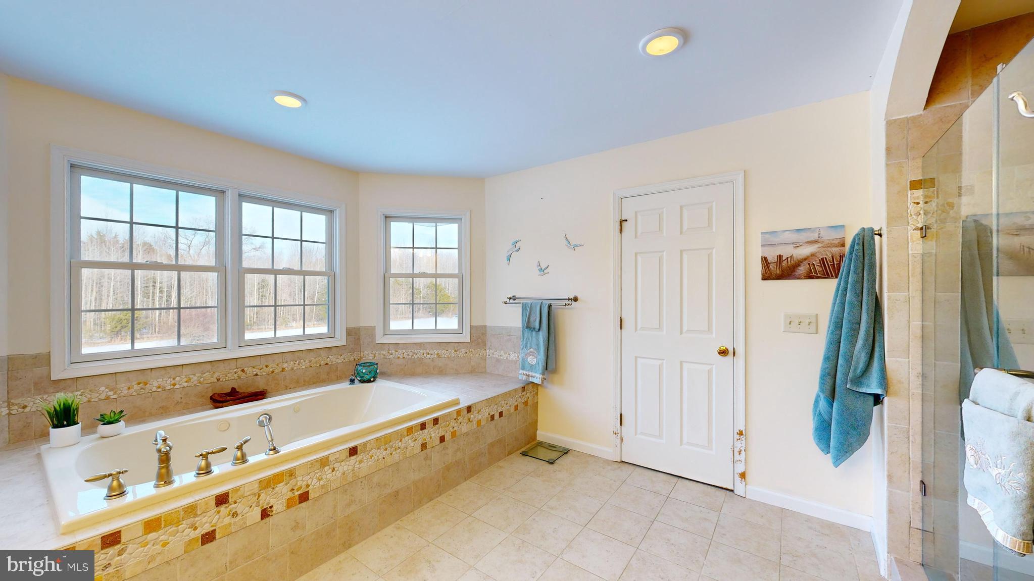 460 John Hurd Road Harrington, DE 19952 - Photo 49 of 94 Amazing tub