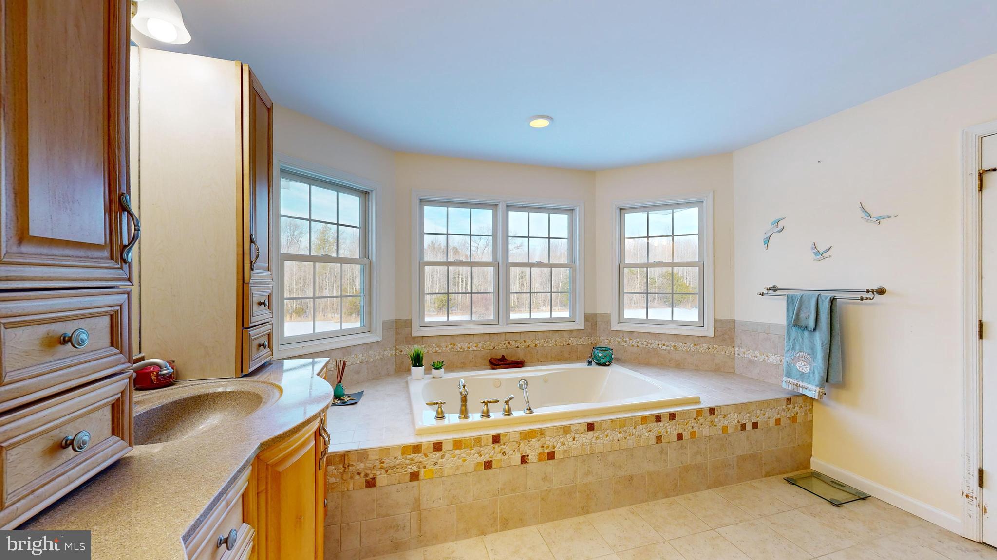 460 John Hurd Road Harrington, DE 19952 - Photo 53 of 94 Primary bath tub