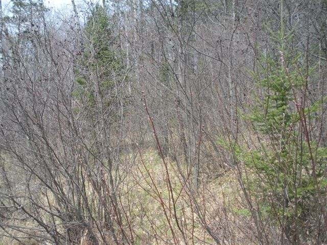 4895 Lakewood Road Harshaw, WI 54529 - Photo 12 of 18 Gallery Image 12