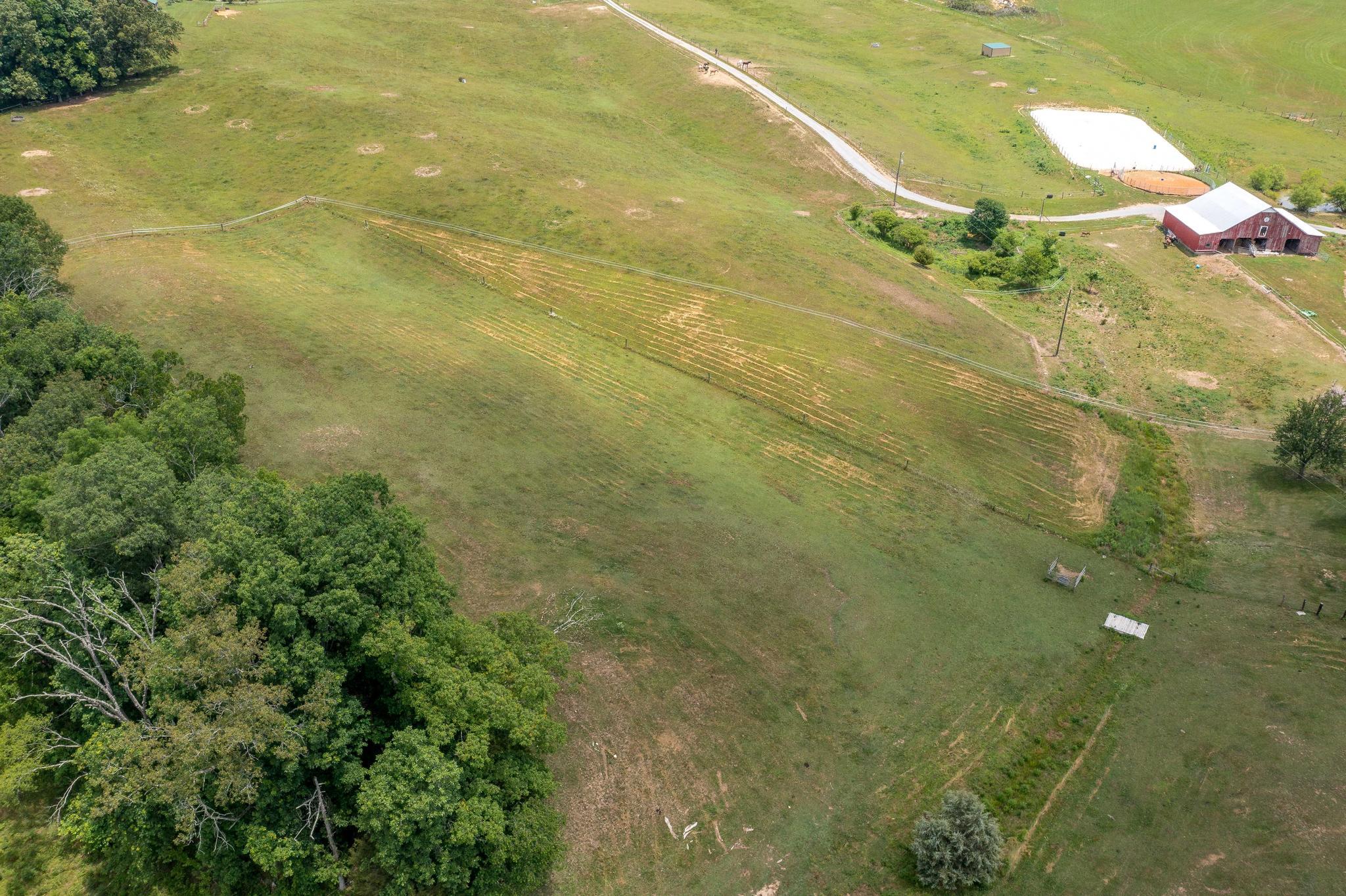 169 Speedwell Road Rogersville, TN 37857 - Photo 15 of 67 169 Speedwell Road (14 of 67)