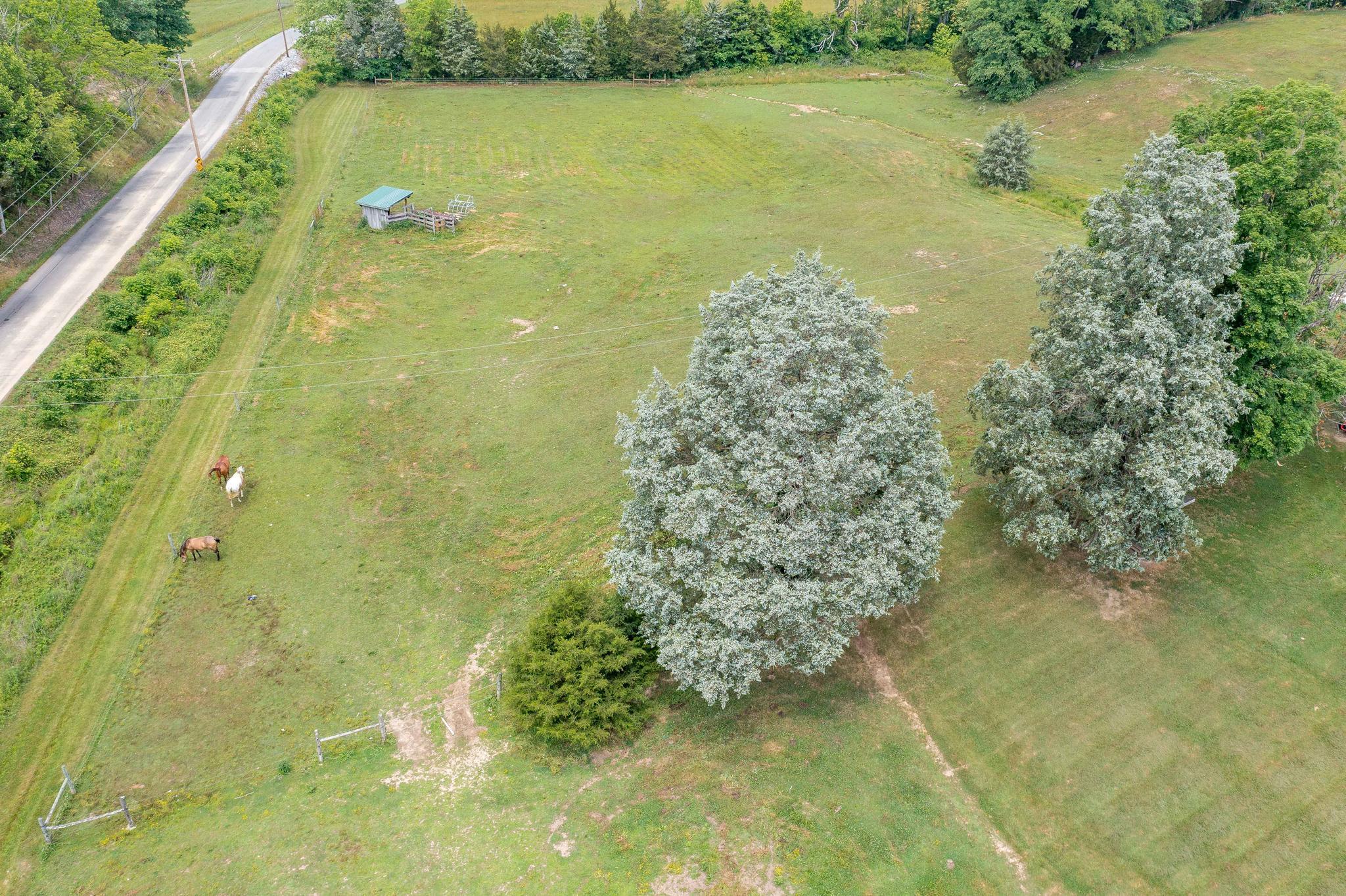169 Speedwell Road Rogersville, TN 37857 - Photo 16 of 67 169 Speedwell Road (15 of 67)