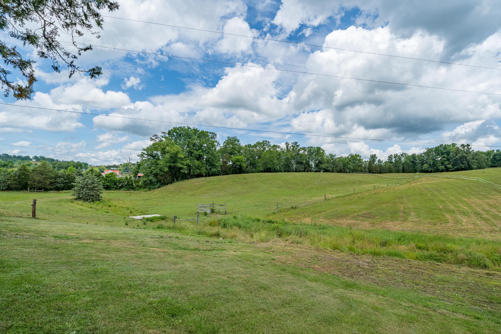 169 Speedwell Road Rogersville, TN 37857 - Photo 41 of 67 169 Speedwell Road (41 of 67)