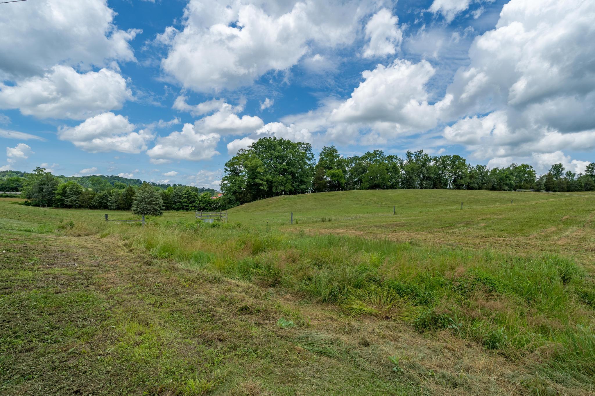 169 Speedwell Road Rogersville, TN 37857 - Photo 42 of 67 169 Speedwell Road (42 of 67)