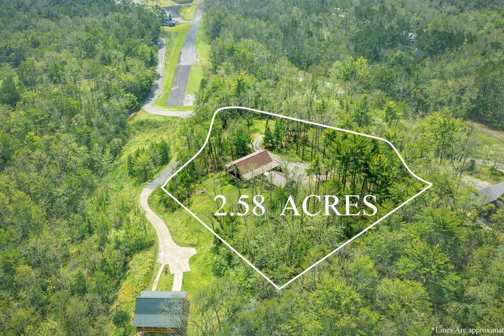 259 Red Bush School Road Blue Ridge, GA 30513 - Photo 18 of 46 Generous 2.5-acre parcel provides privacy and space