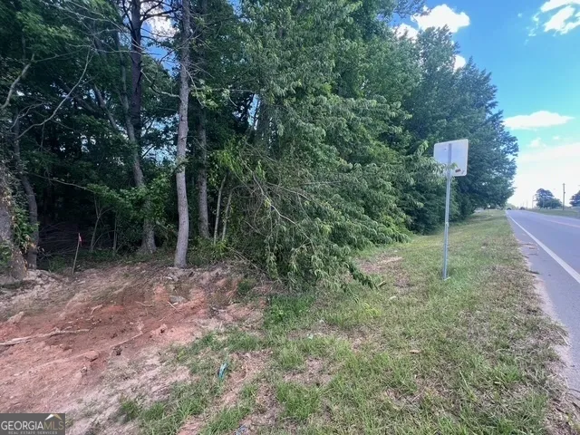 a view of a forest that has large trees
