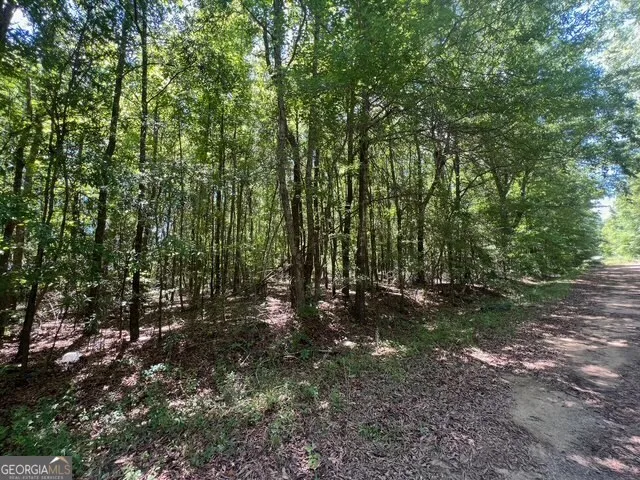 a view of outdoor space and trees